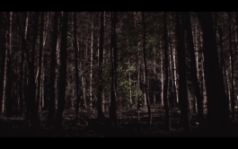 LestarFilm     -      films by Gabriel Lester