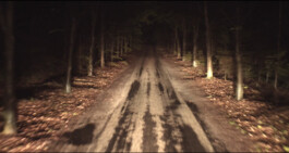 LestarFilm     -      films by Gabriel Lester