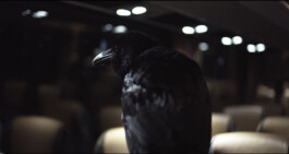 LestarFilm     -      films by Gabriel Lester