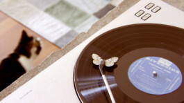 LestarFilm     -      films by Gabriel Lester