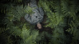 LestarFilm     -      films by Gabriel Lester